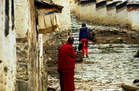 The Drepong Monastery